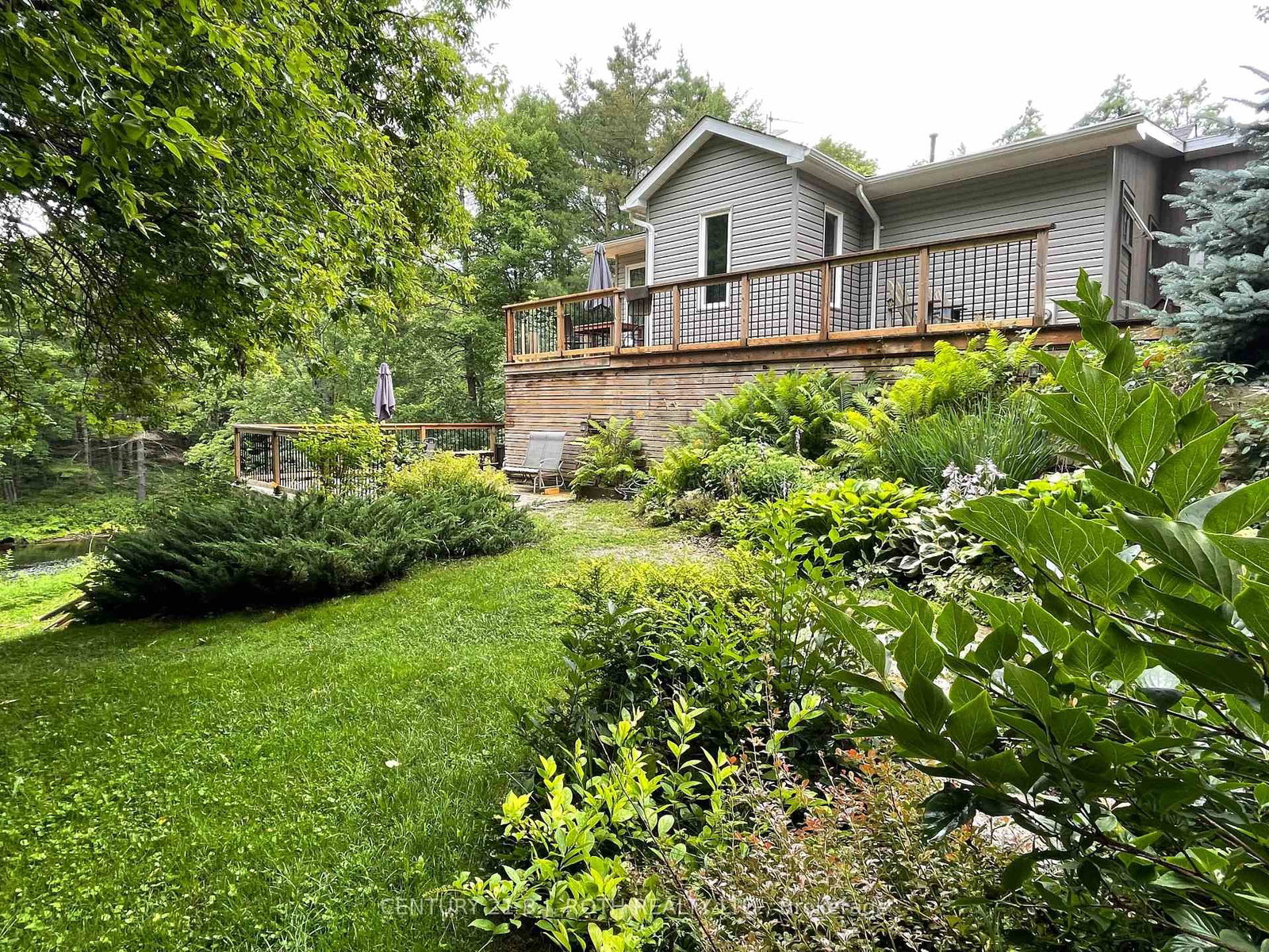 8101 Kings River Road • Ramara, ON photo 3