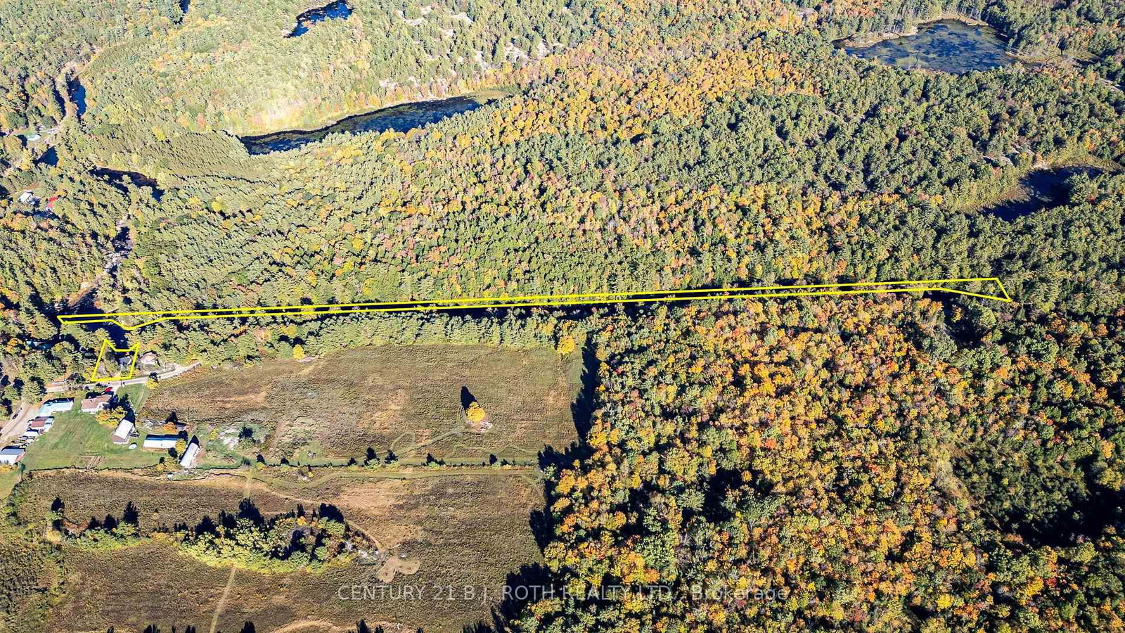 8101 Kings River Road • Ramara, ON photo 31