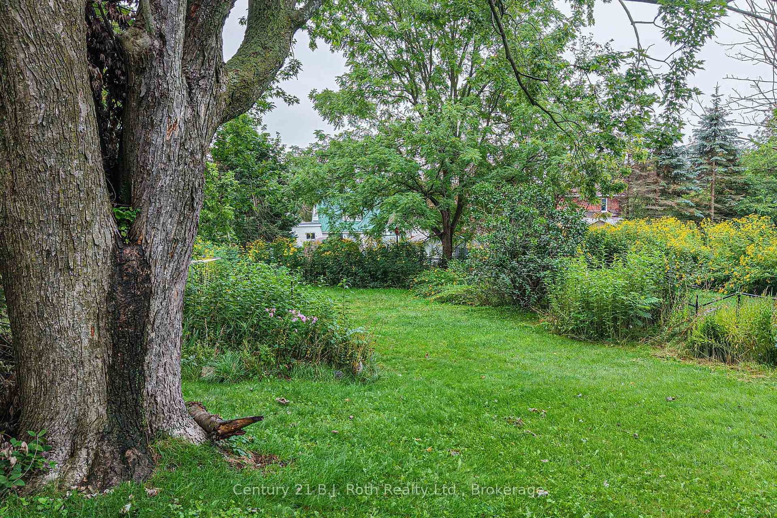 281 Nottawasaga Street • Orillia, ON photo 12
