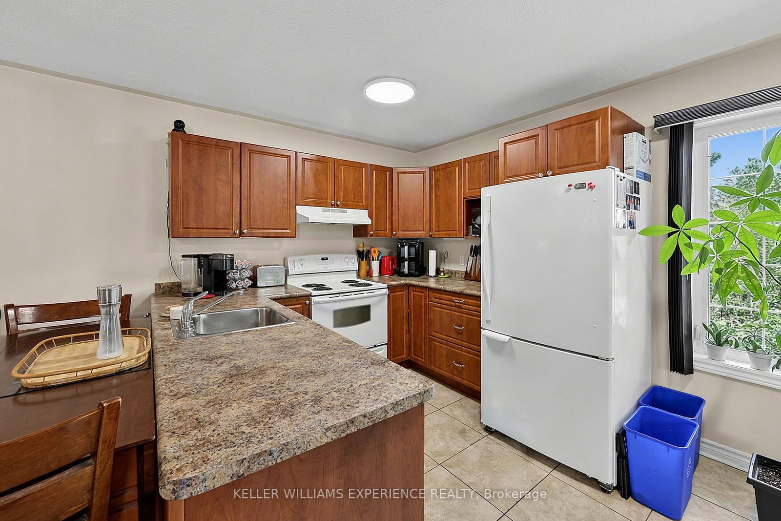 19 Centre Street • Barrie, ON photo 33