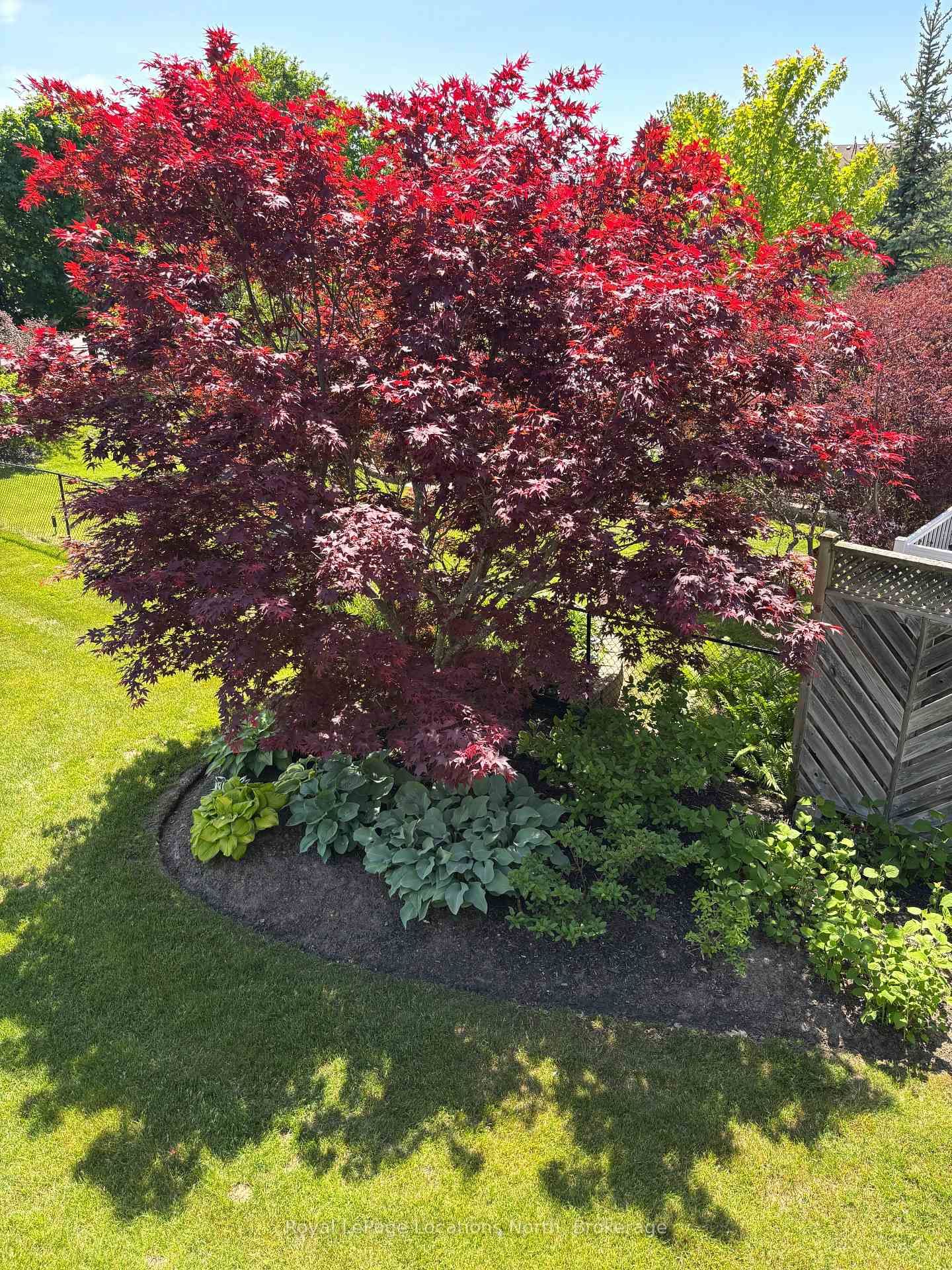 6 Thomas Drive • Collingwood, ON photo 34