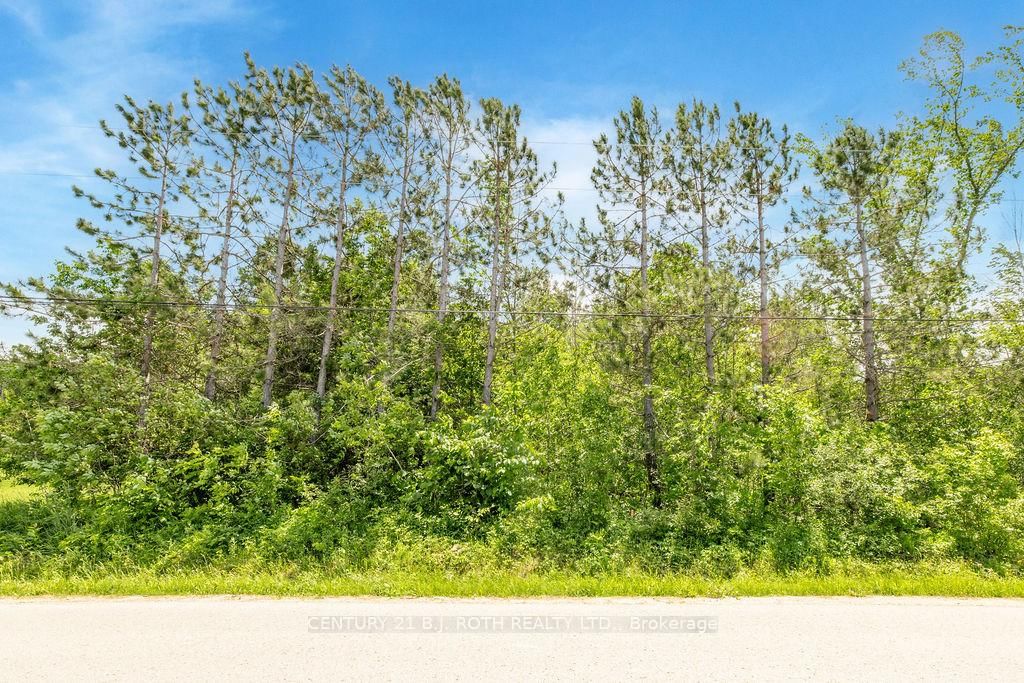 37 Todd Lane • Tay, ON photo 17
