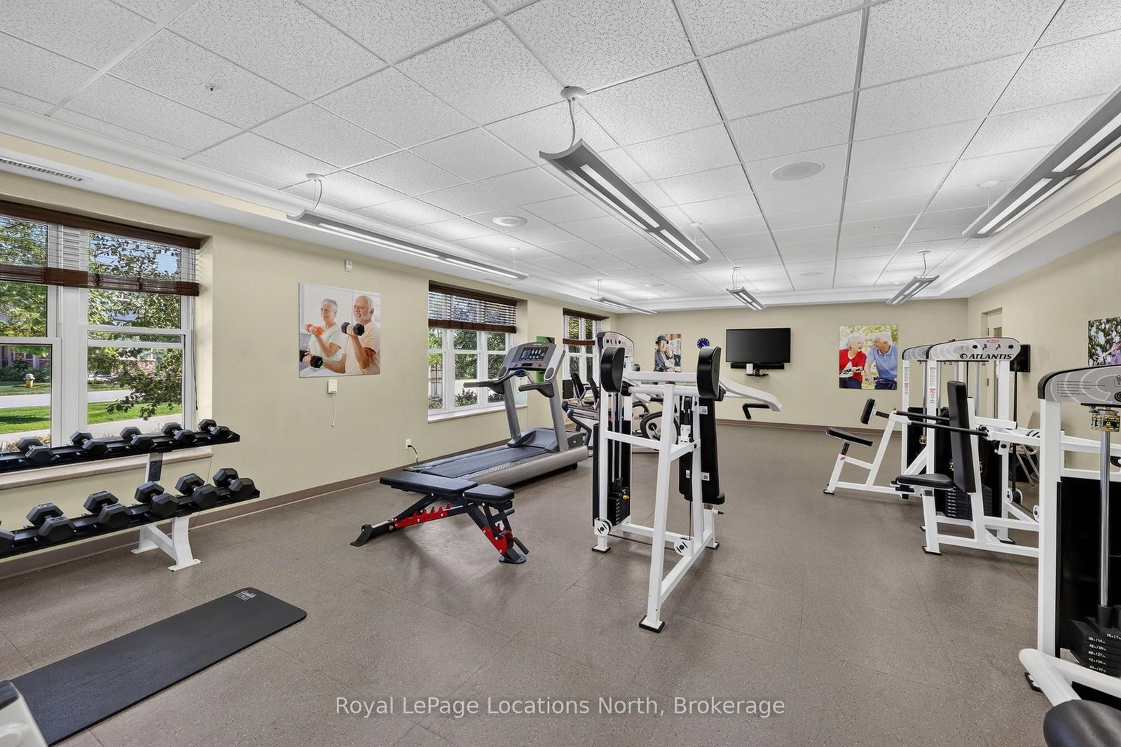 73 Kari Crescent • Collingwood, ON photo 34
