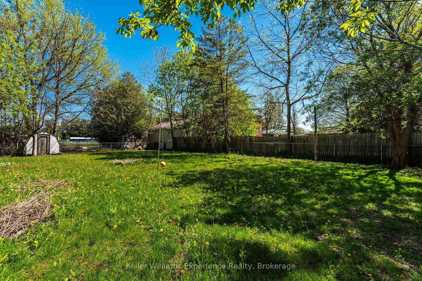 239 Oak Street • Clearview, ON photo 41
