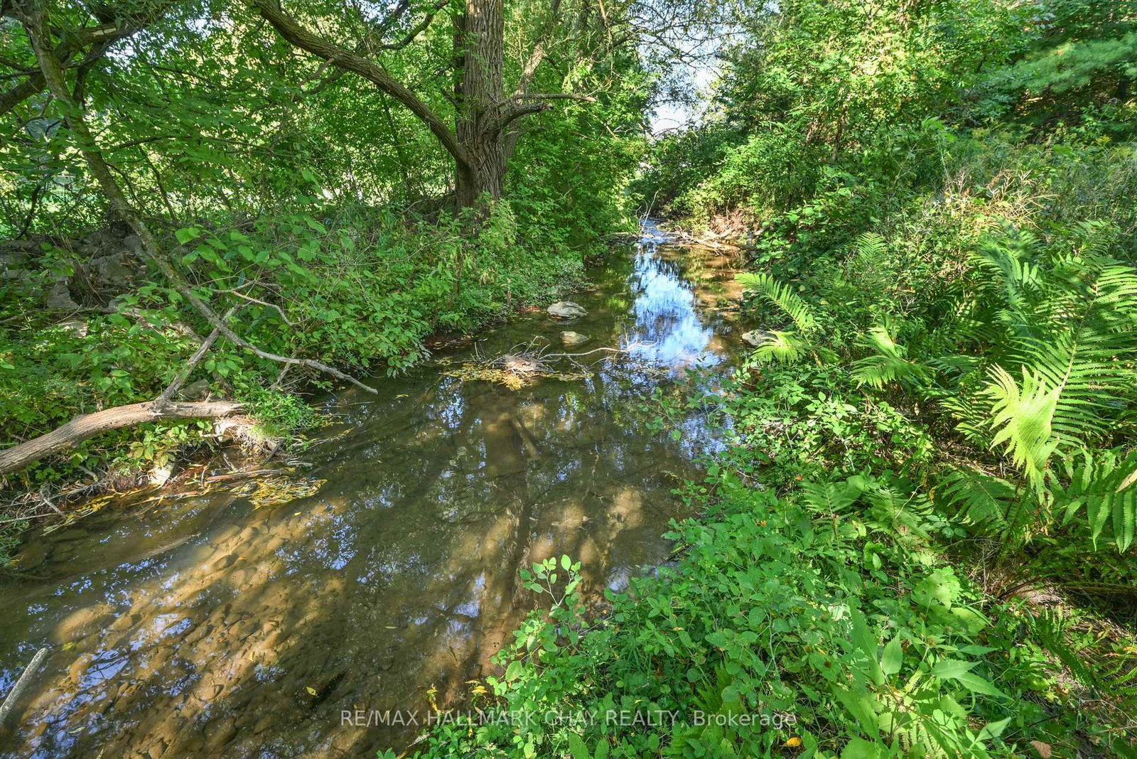 213 Dominion Drive • Clearview, ON photo 8