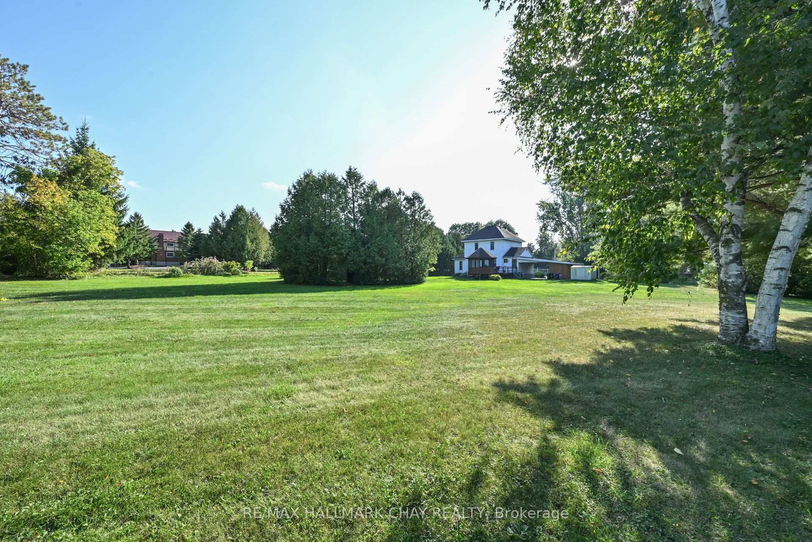 213 Dominion Drive • Clearview, ON photo 9