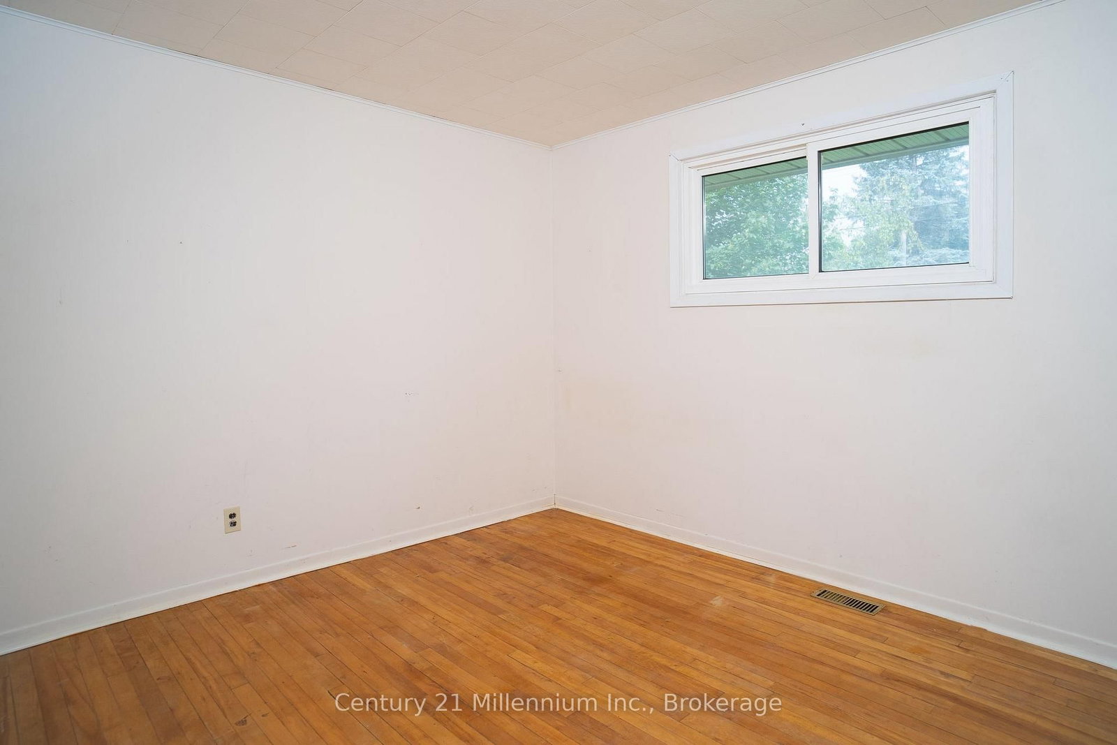 209 John Street • Clearview, ON photo 18