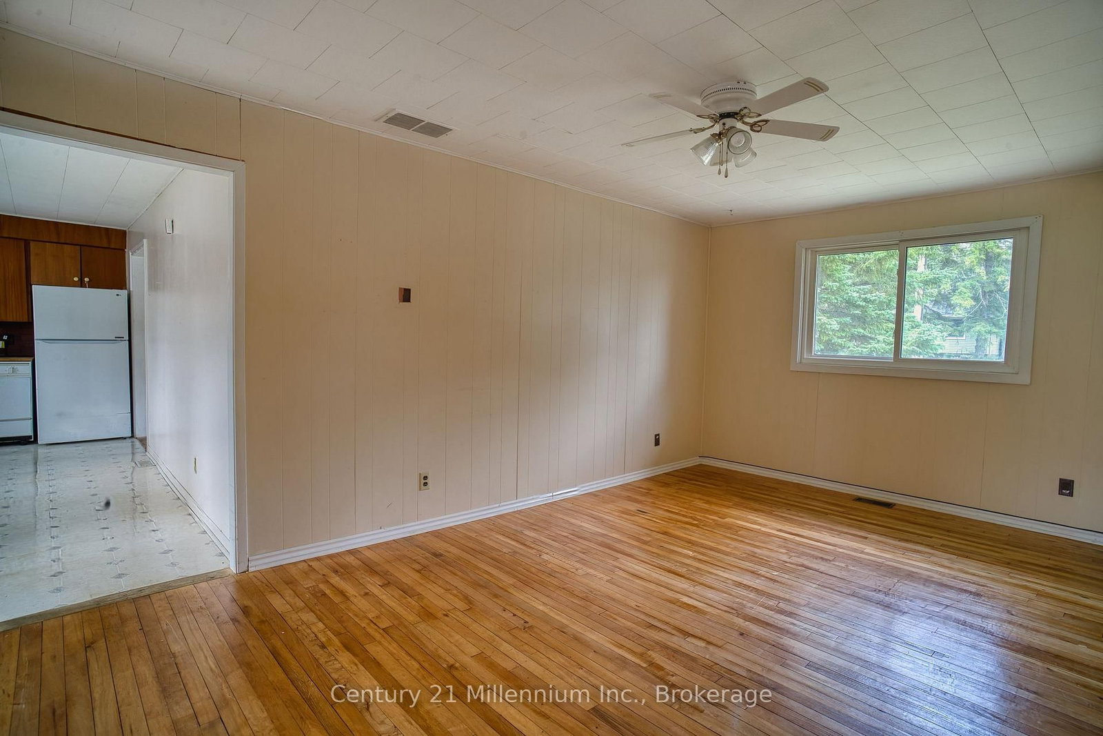 209 John Street • Clearview, ON photo 3