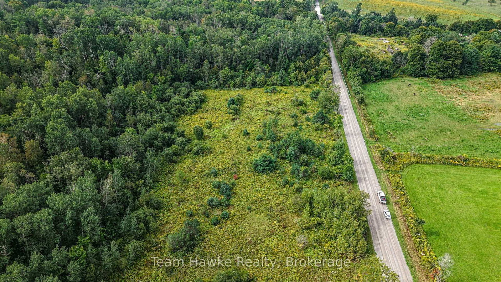 Lot 80 McMann Side Road • Tay, ON photo 6