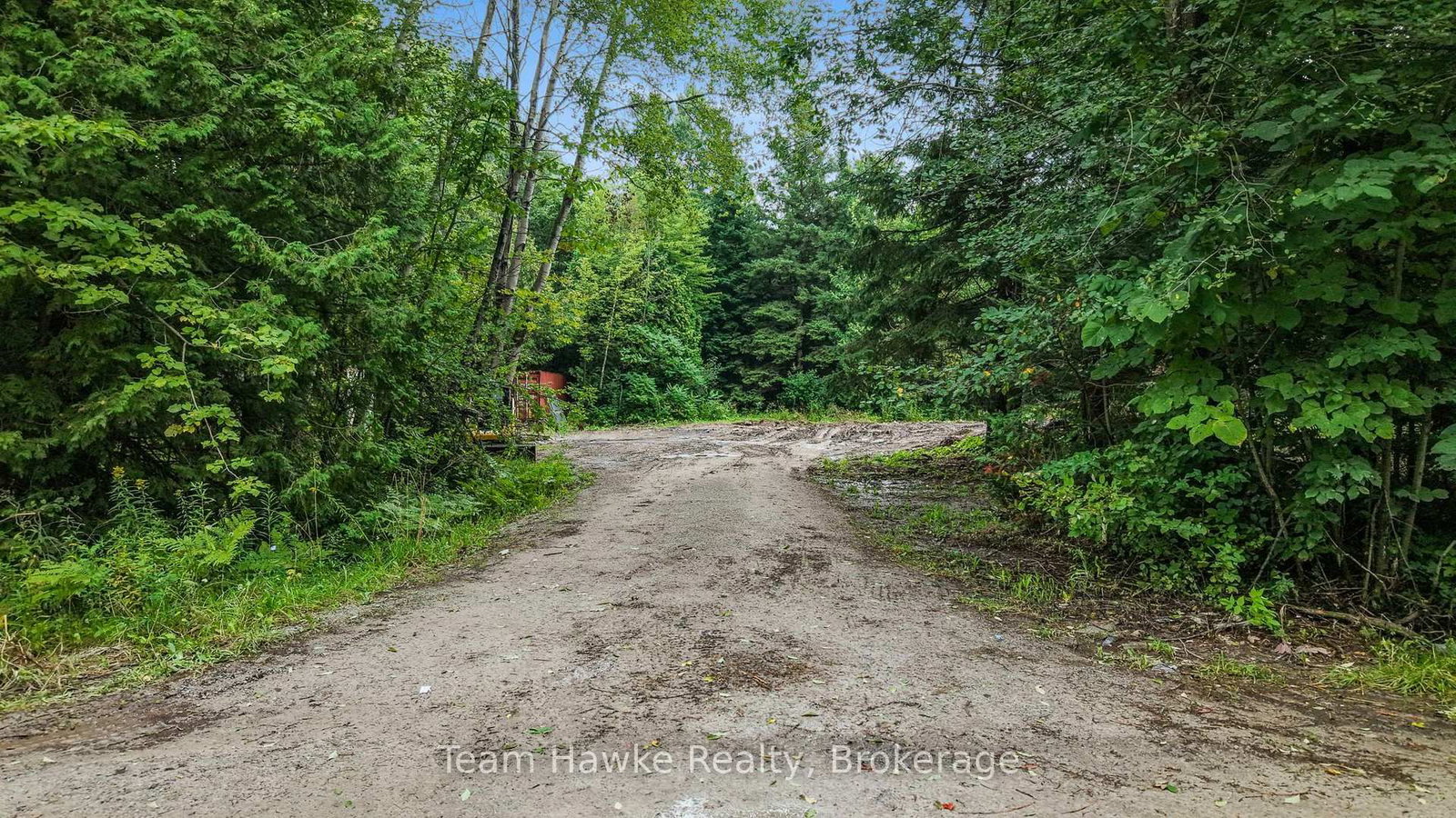 5493 Mcmann Side Road • Tay, ON photo 5