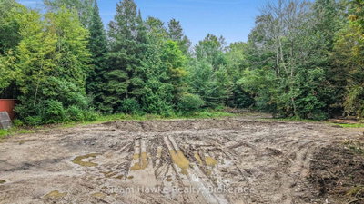 5493 Mcmann Side Road • Tay, ON photo 6