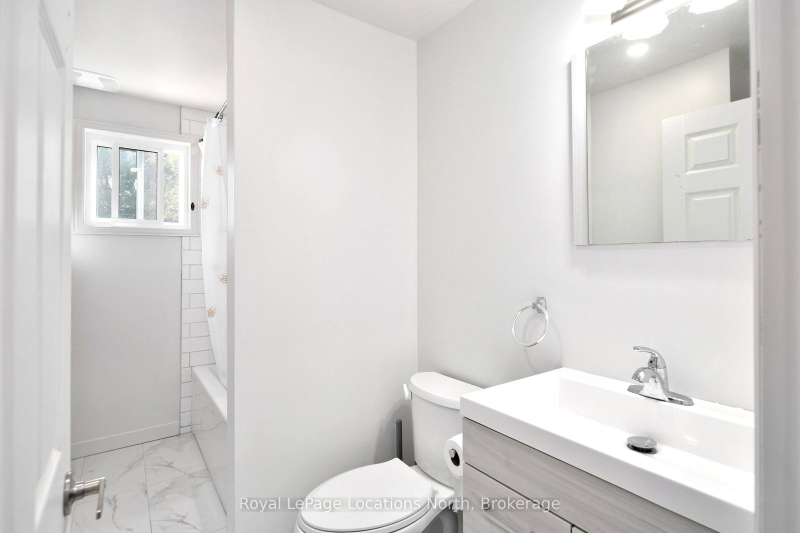 117 Albert Street • Collingwood, ON photo 28