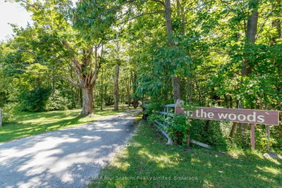 1415 County Rd 124 • Clearview, ON photo 3