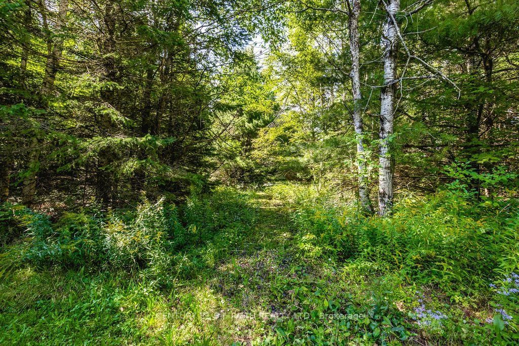 1327 Monck Road • Ramara, ON photo 11