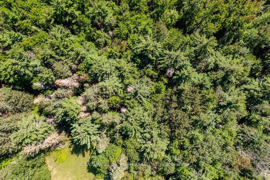 1327 Monck Road • Ramara, ON photo 6