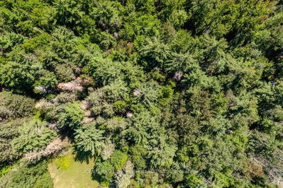 1327 Monck Road • Ramara, ON photo 6