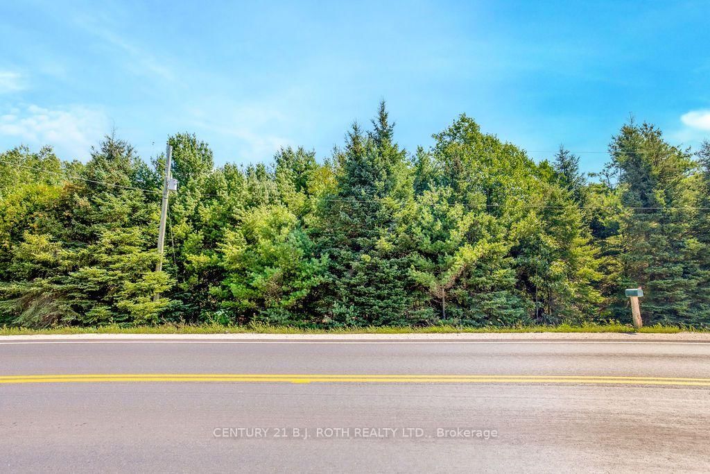 1327 Monck Road • Ramara, ON photo 9
