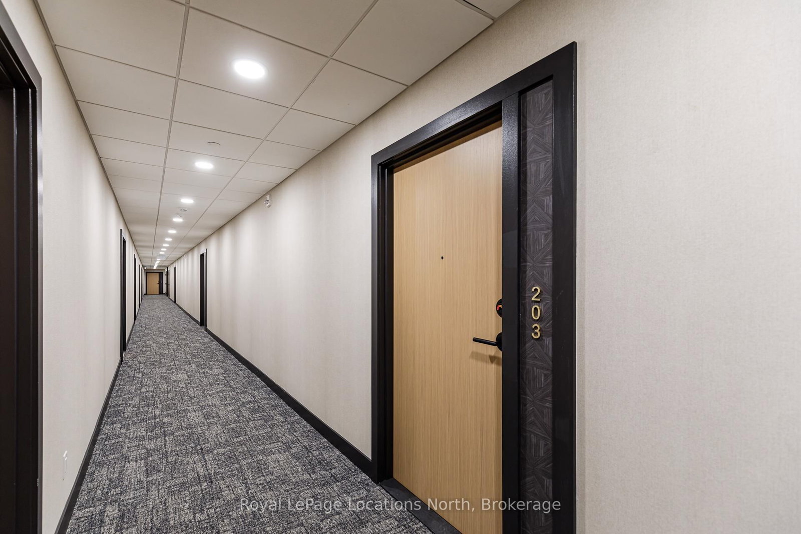 31 HURON Street • #203 • Collingwood, ON photo 11