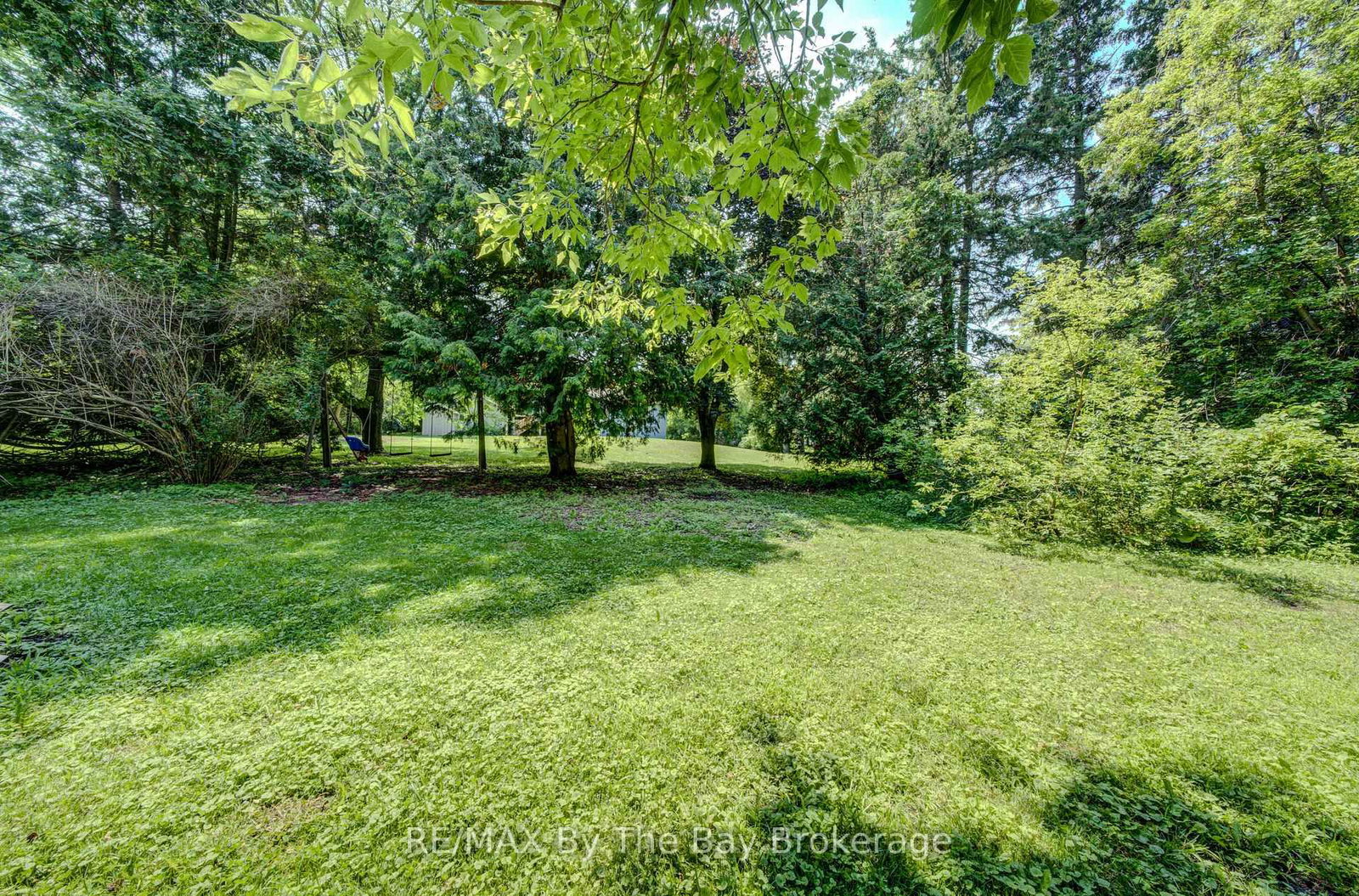 258 Sunnidale Street • Clearview, ON photo 43