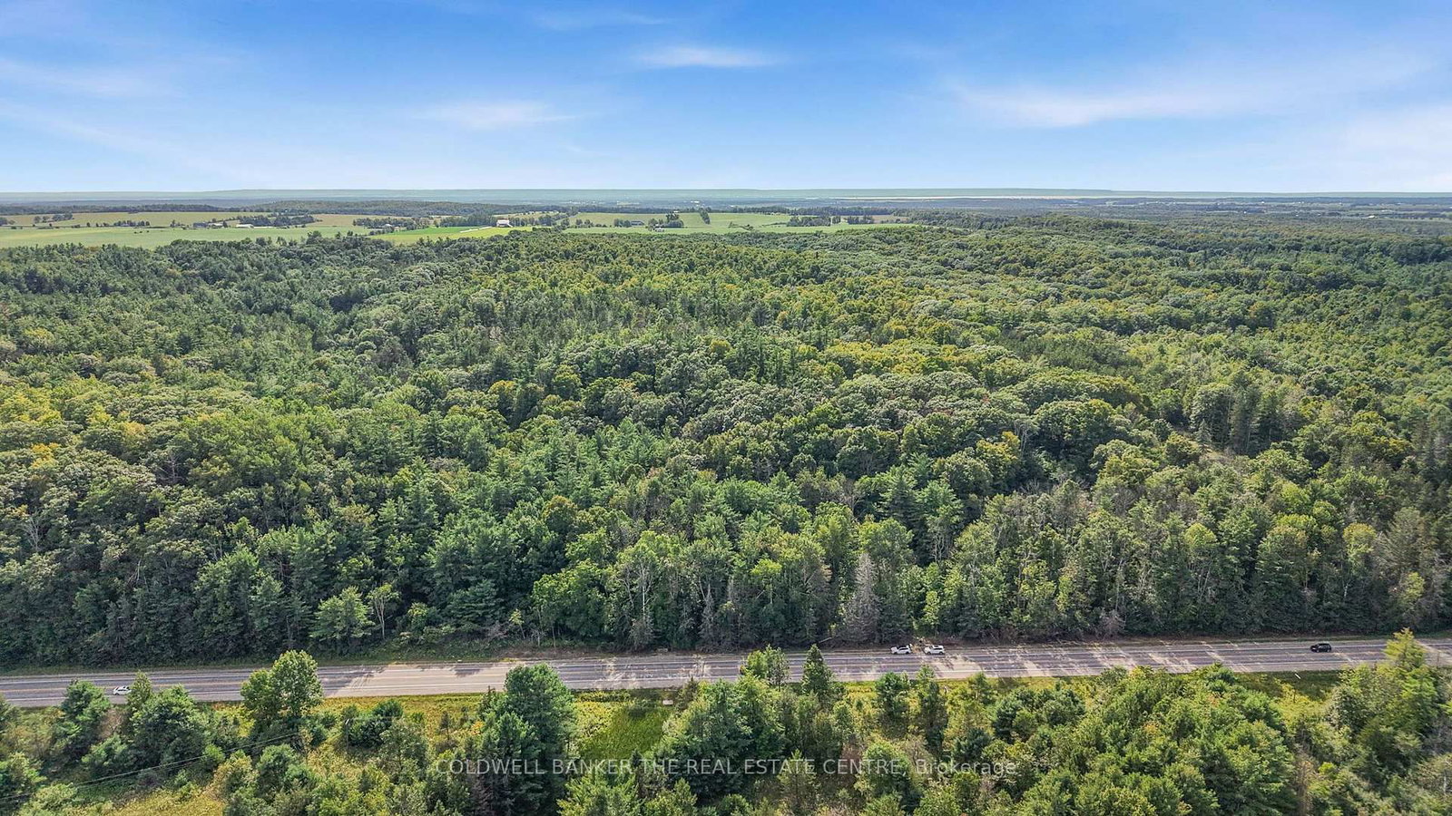 4896 Penetanguishene Road • Springwater, ON photo 10