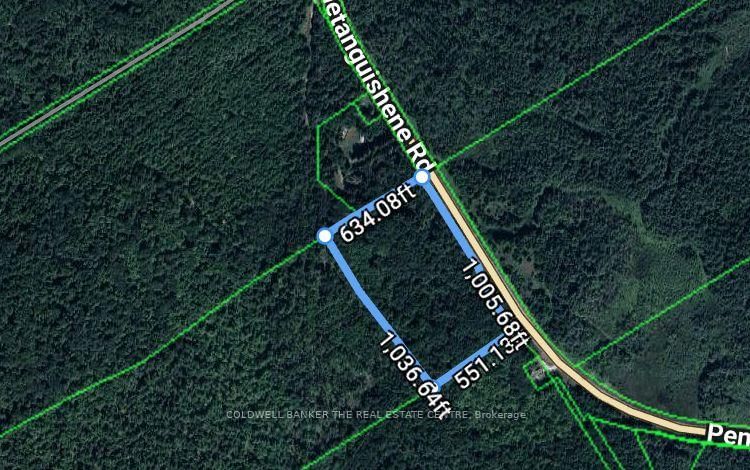4896 Penetanguishene Road • Springwater, ON photo 11