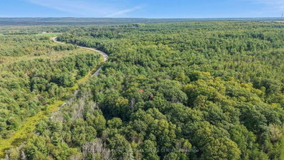 4896 Penetanguishene Road • Springwater, ON photo 5