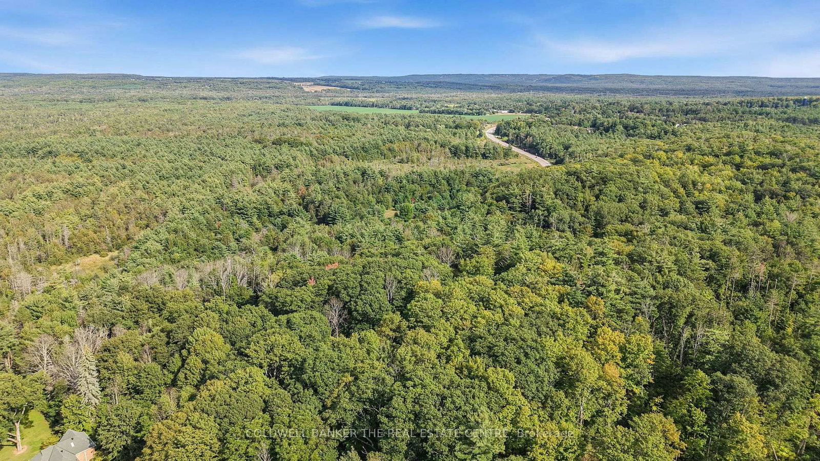 4896 Penetanguishene Road • Springwater, ON photo 6