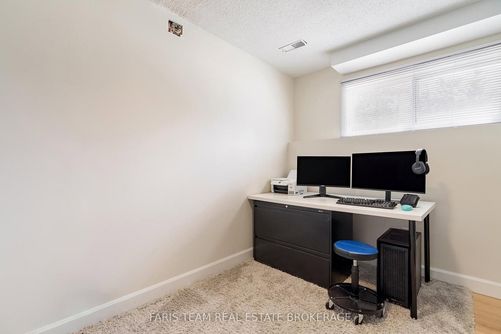 396 Mary Street • Orillia, ON photo 20