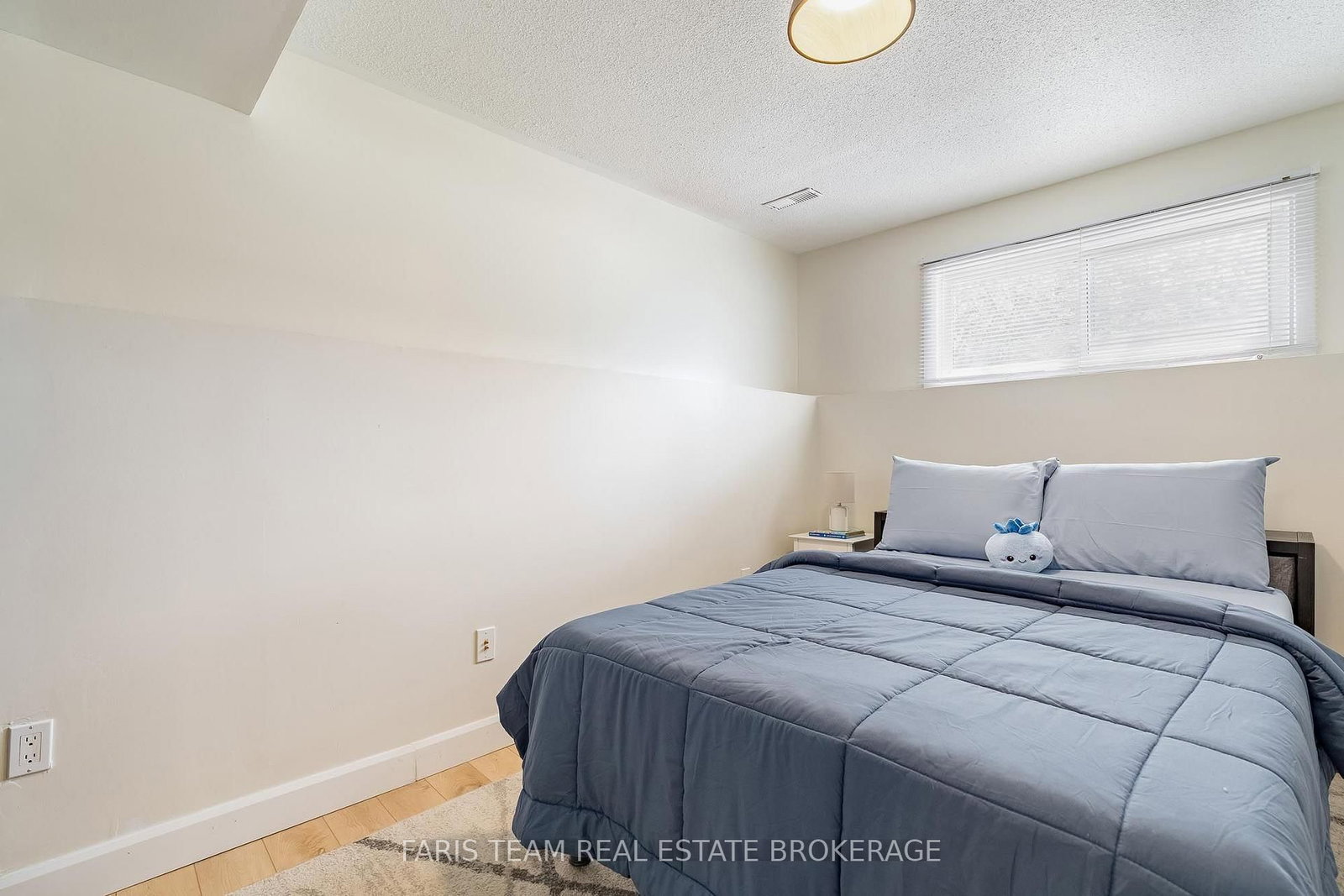 396 Mary Street • Orillia, ON photo 21