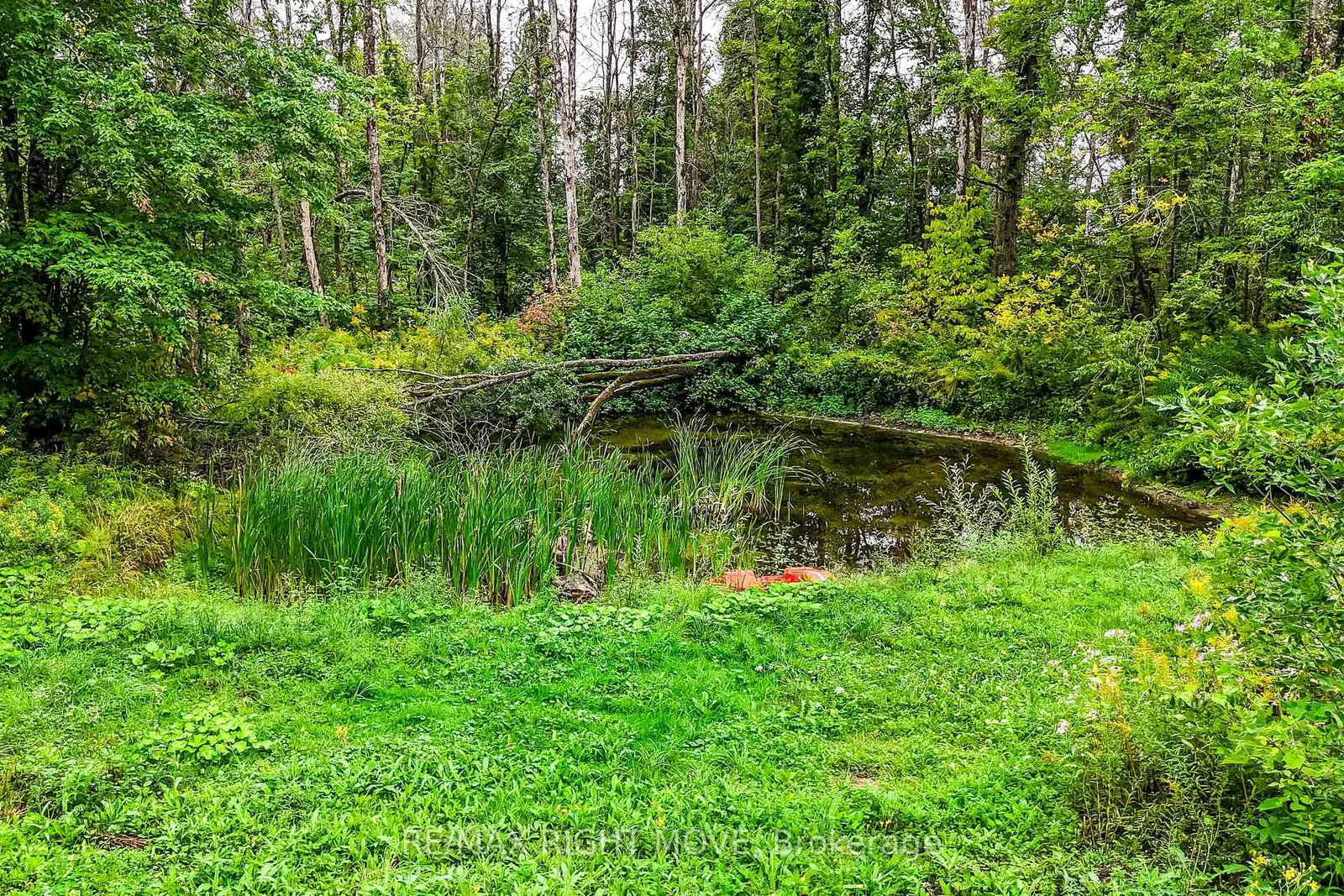 7514 Rama Road • Ramara, ON photo 45