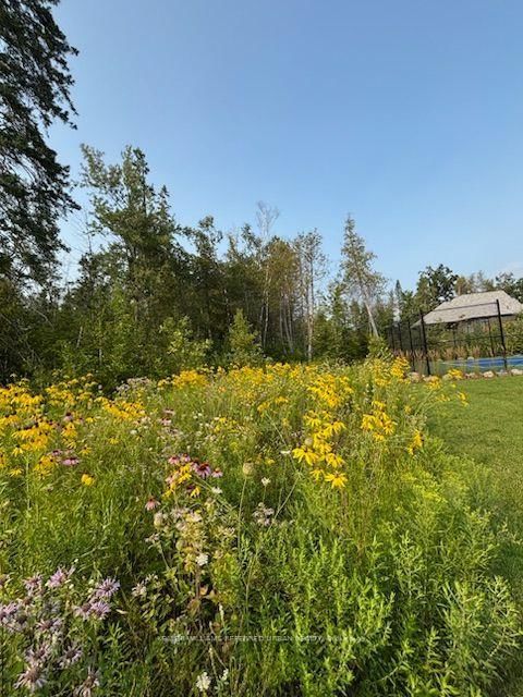 24 Windfield Drive W • Oro-Medonte, ON photo 50