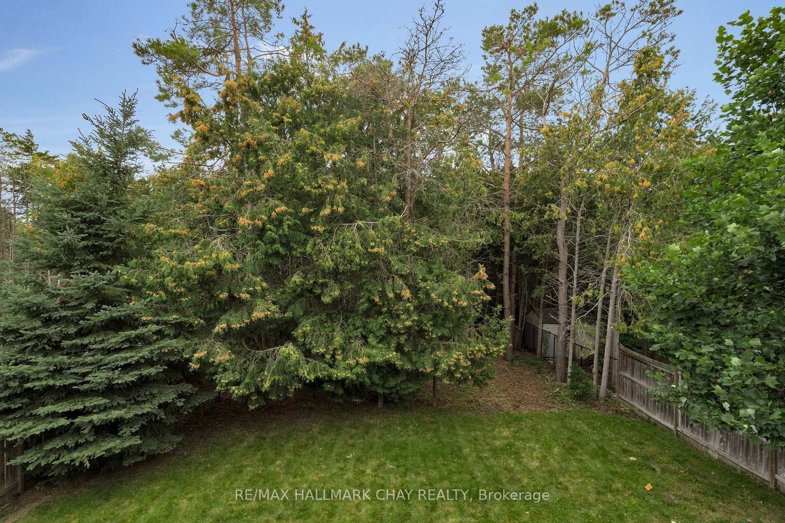 46 Birkhall Place • Barrie, ON photo 12