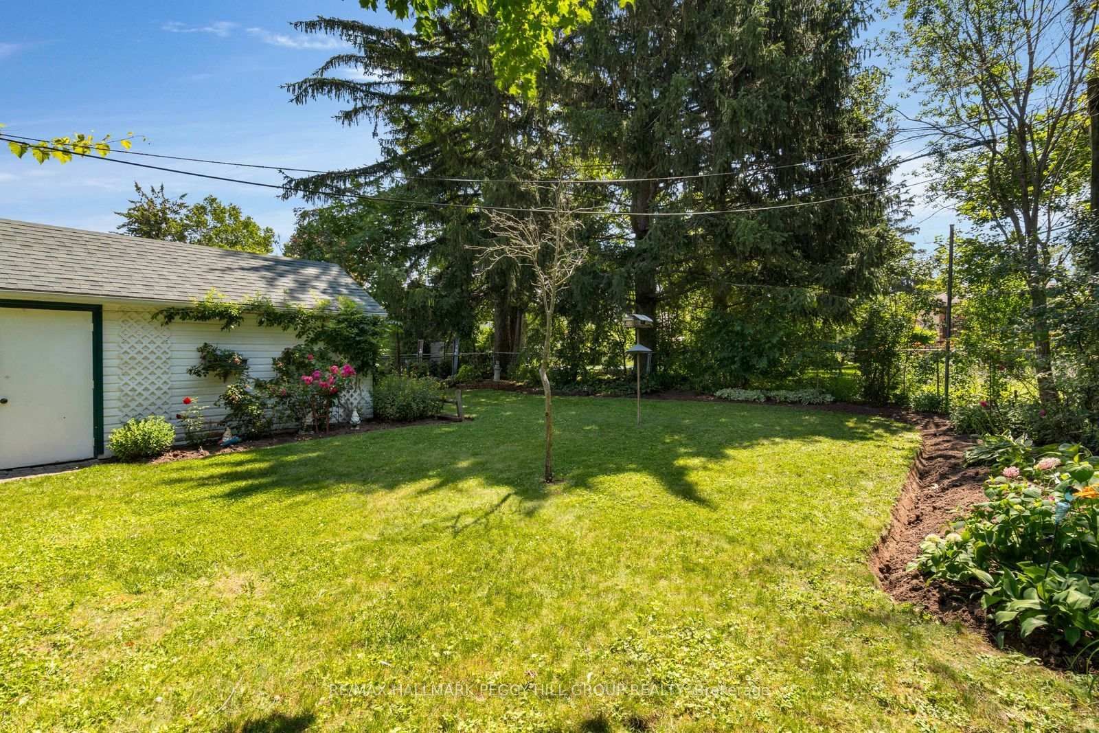 171 Codrington Street • Barrie, ON photo 13