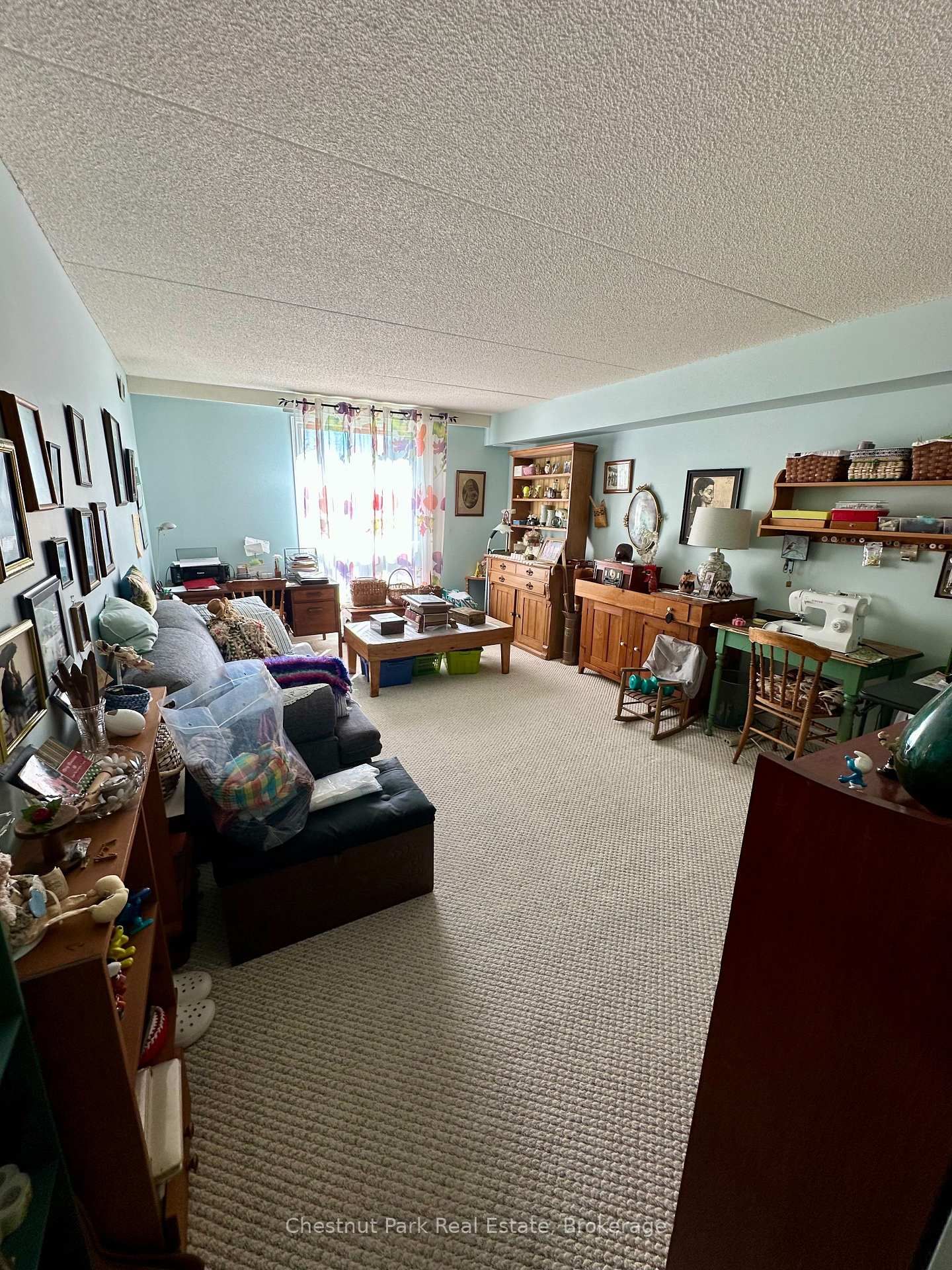 172 Eighth Street • #209 • Collingwood, ON photo 11