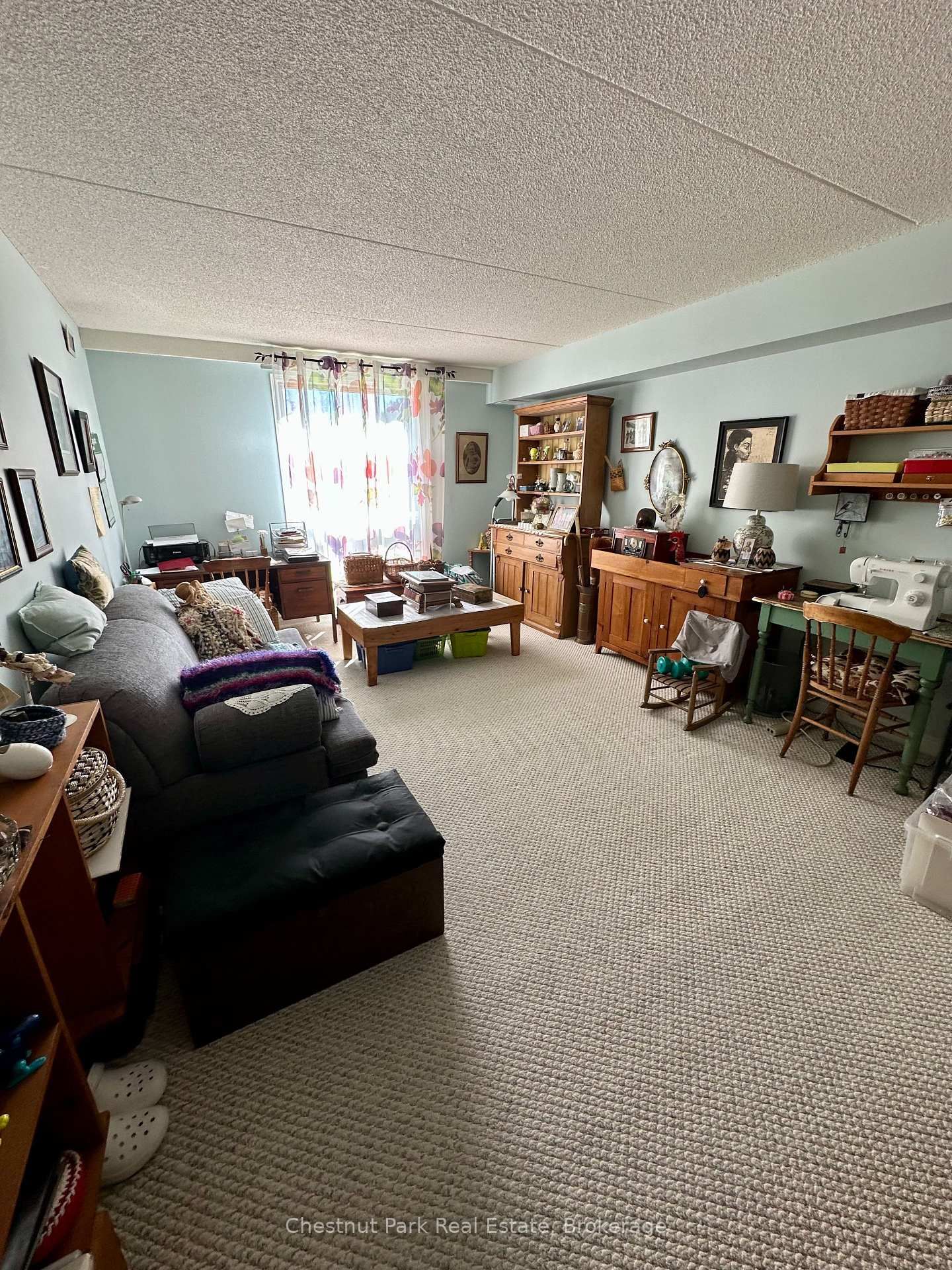 172 Eighth Street • #209 • Collingwood, ON photo 12