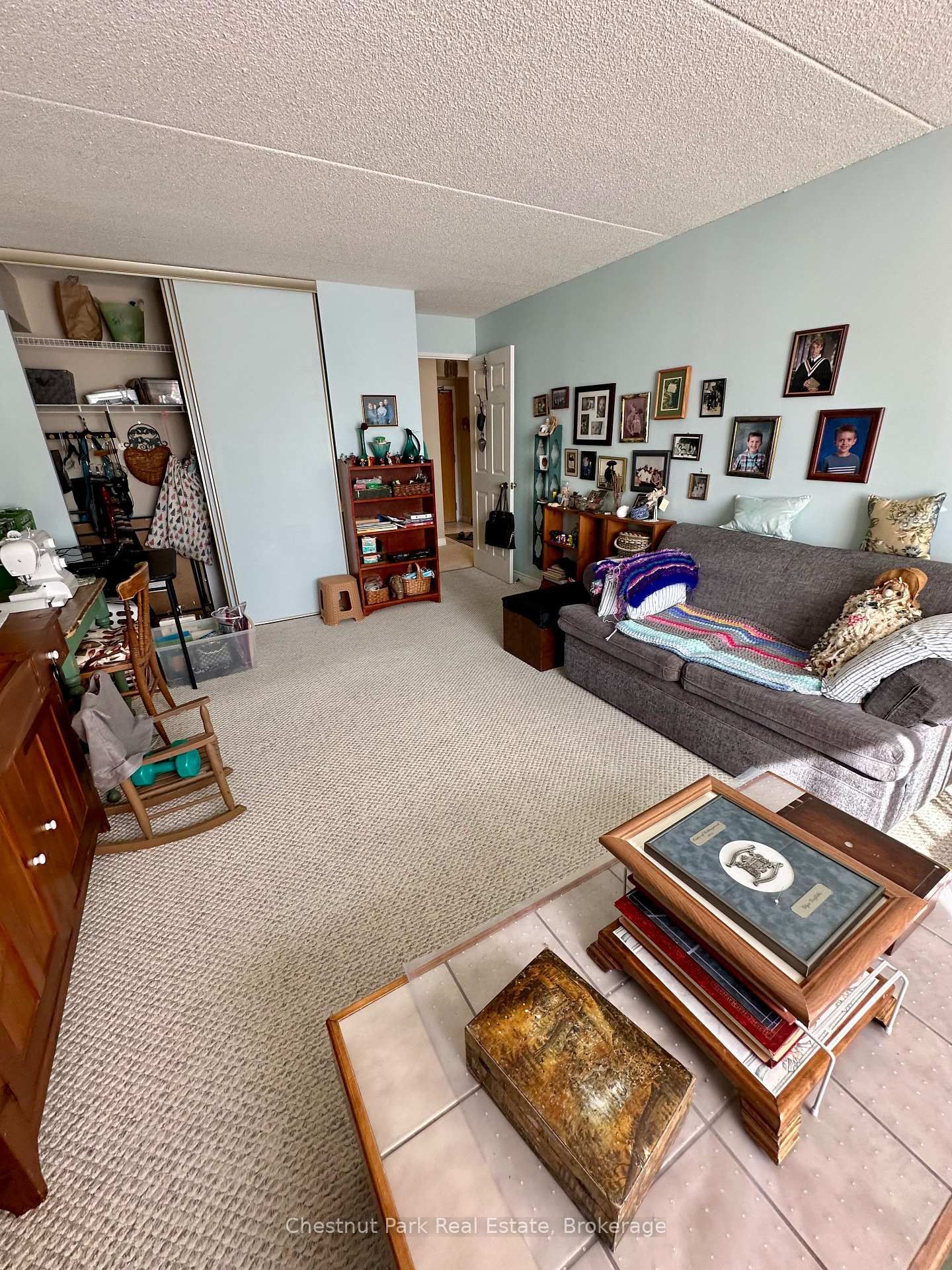 172 Eighth Street • #209 • Collingwood, ON photo 13