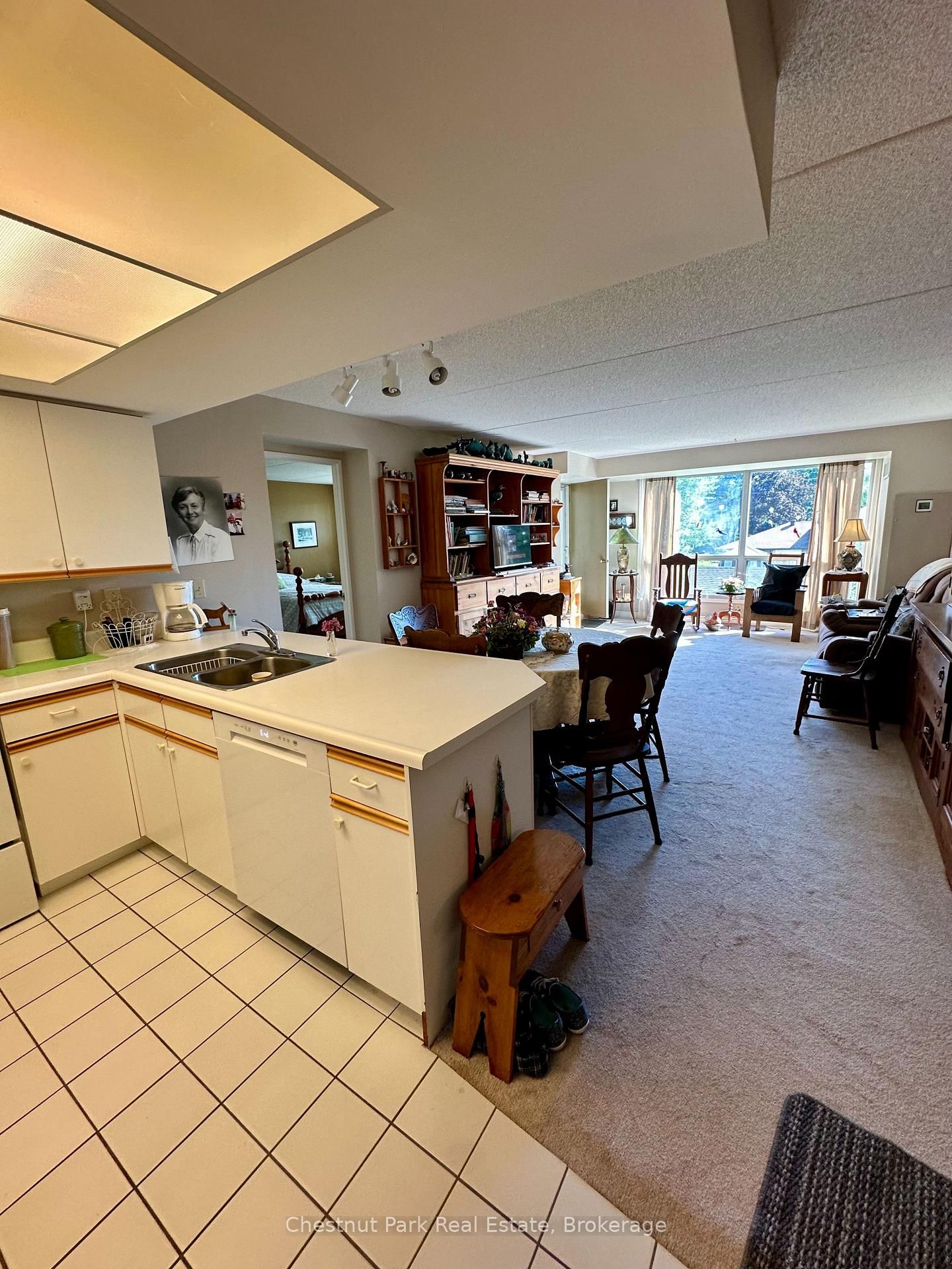 172 Eighth Street • #209 • Collingwood, ON photo 4