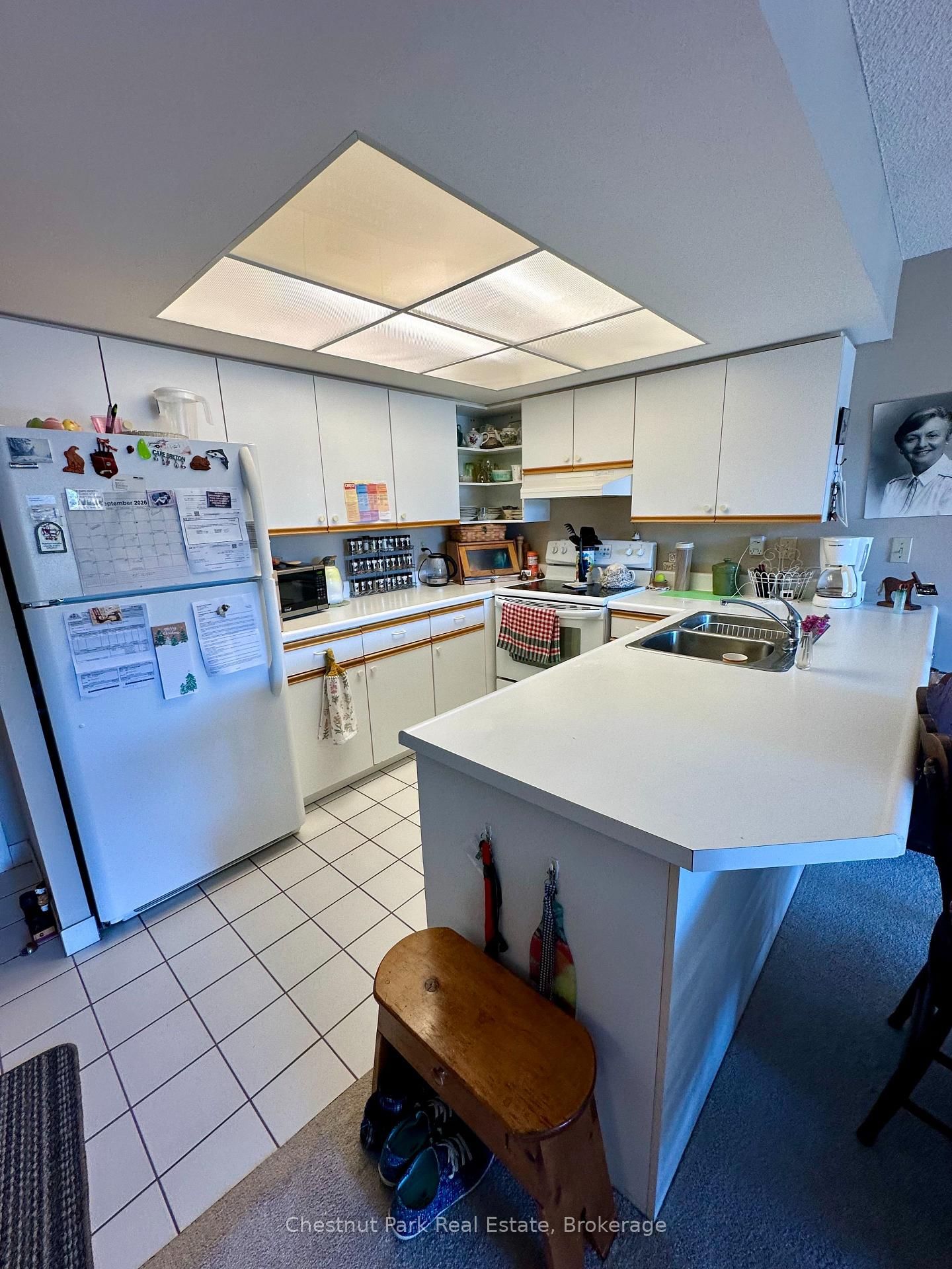 172 Eighth Street • #209 • Collingwood, ON photo 5