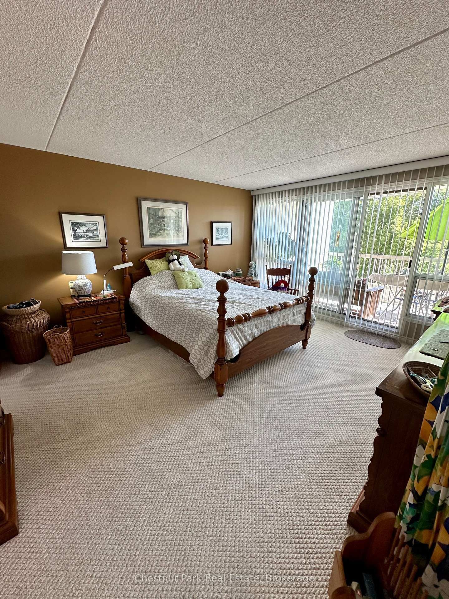 172 Eighth Street • #209 • Collingwood, ON photo 8