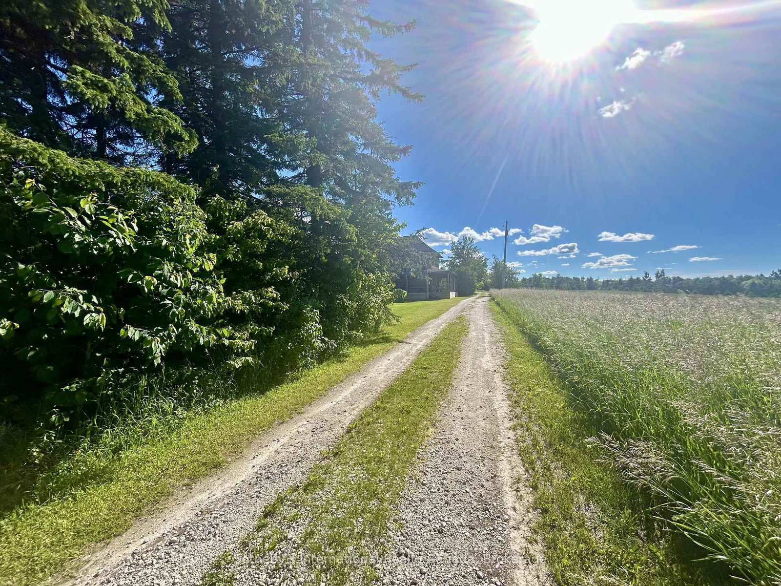 1943 Fairgrounds Road S • Clearview, ON photo 4