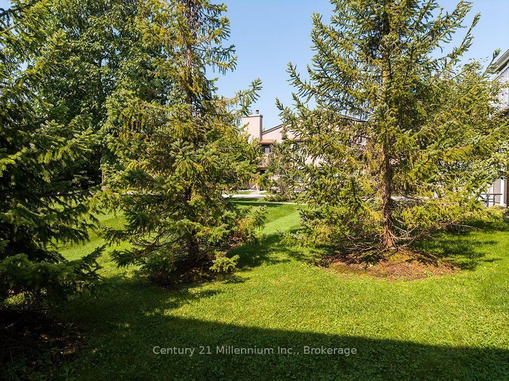 19 Dawson Drive • #68 • Collingwood, ON photo 13
