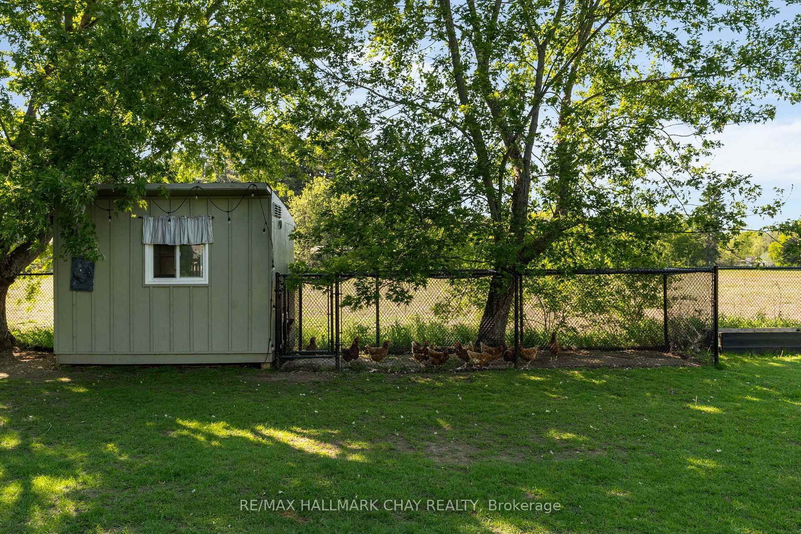 282 Warrington Road • Clearview, ON photo 38