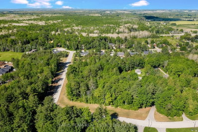 37 Marni Lane • Springwater, ON photo 4