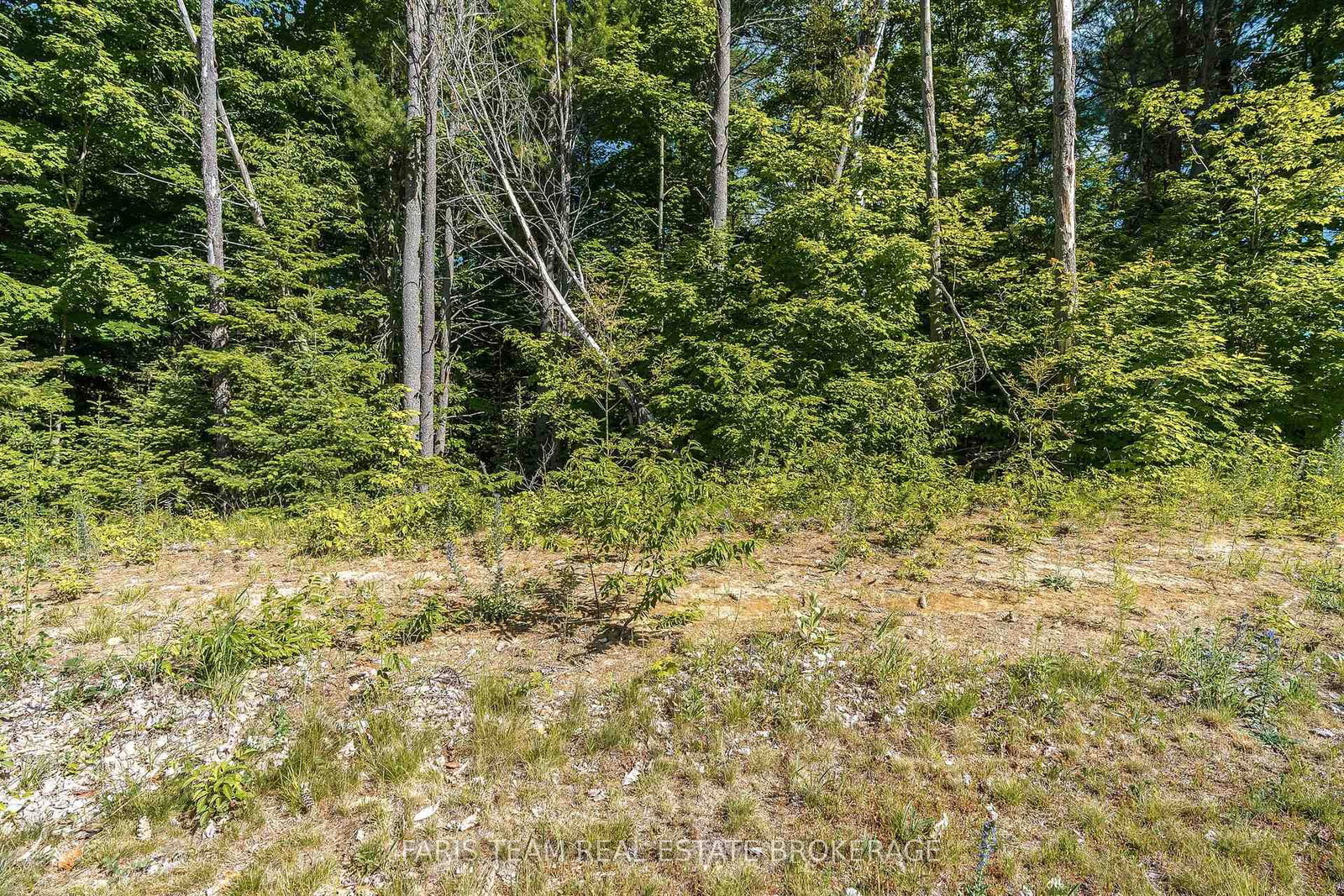 37 Marni Lane • Springwater, ON photo 8