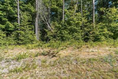 37 Marni Lane • Springwater, ON photo 8