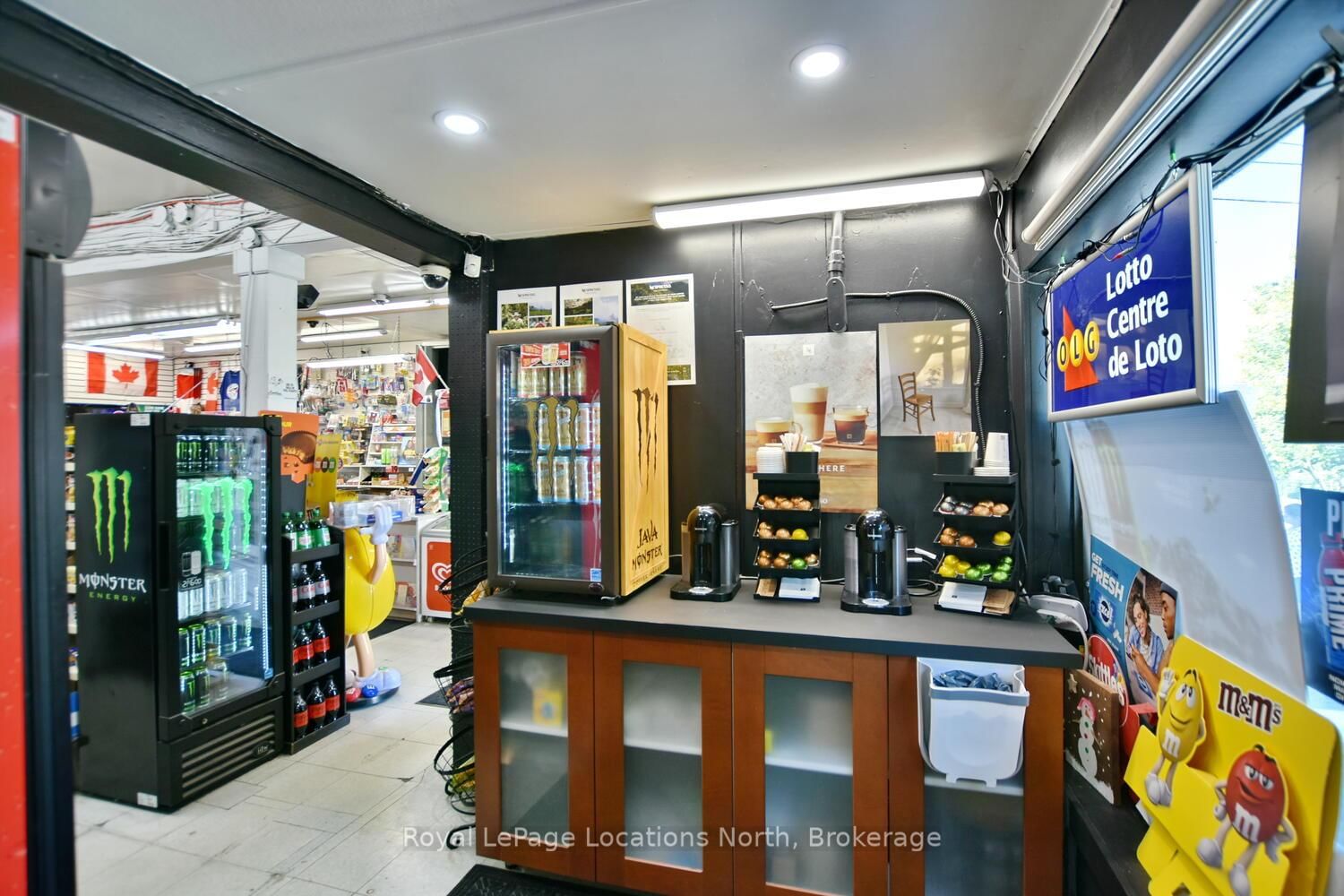 256 Ontario Street • Collingwood, ON photo 34
