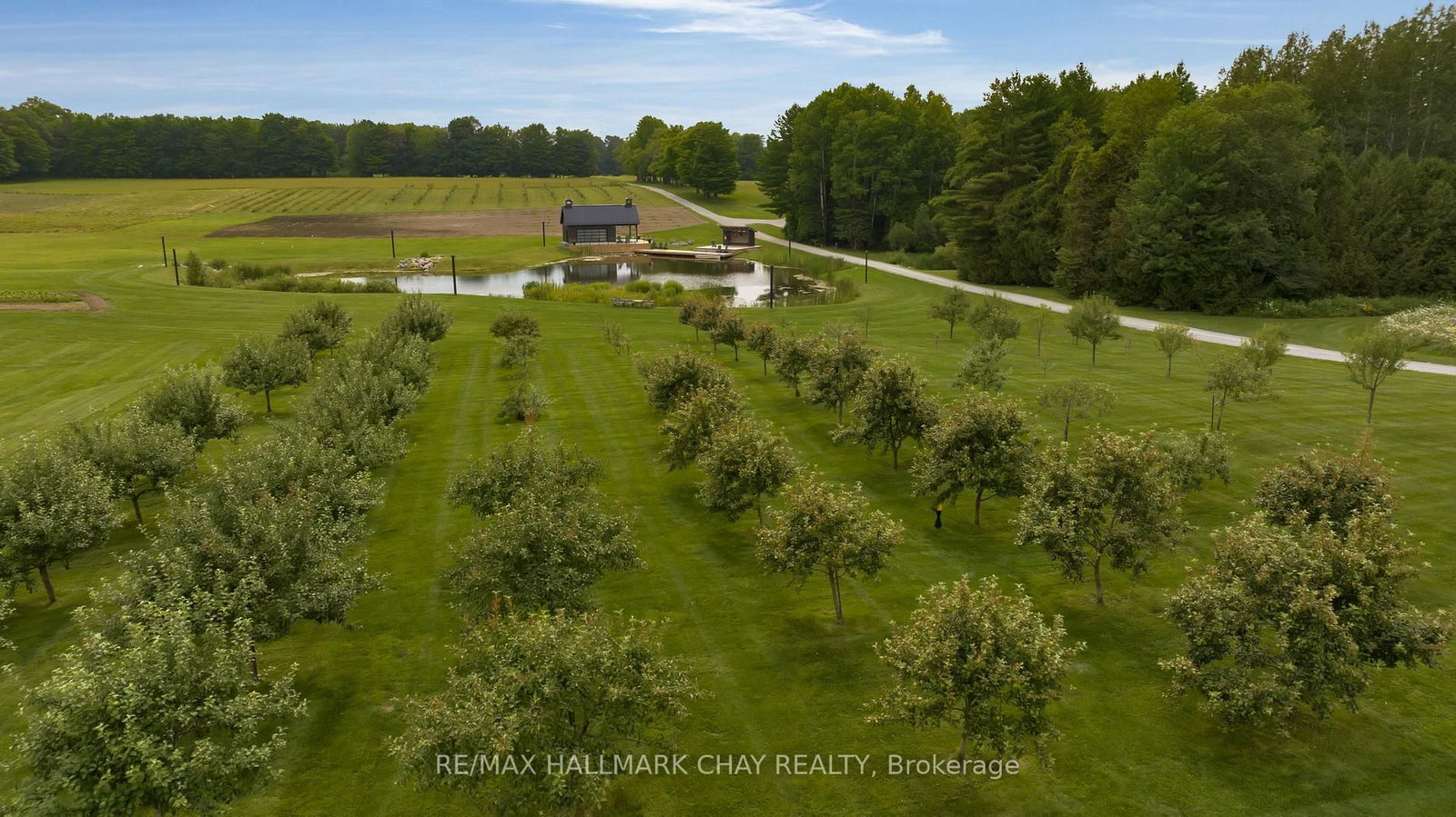 7 Clydesdale Court • Oro-Medonte, ON photo 43
