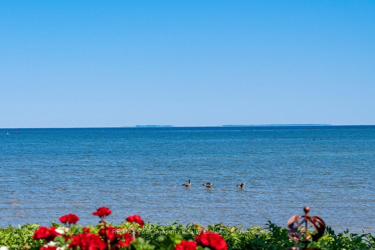 44 Trott Boulevard • #17 • Collingwood, ON photo 1