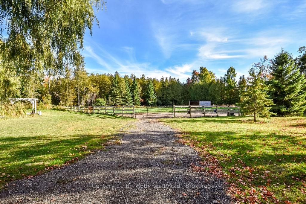 465 Ridge Road E • Oro-Medonte, ON photo 42