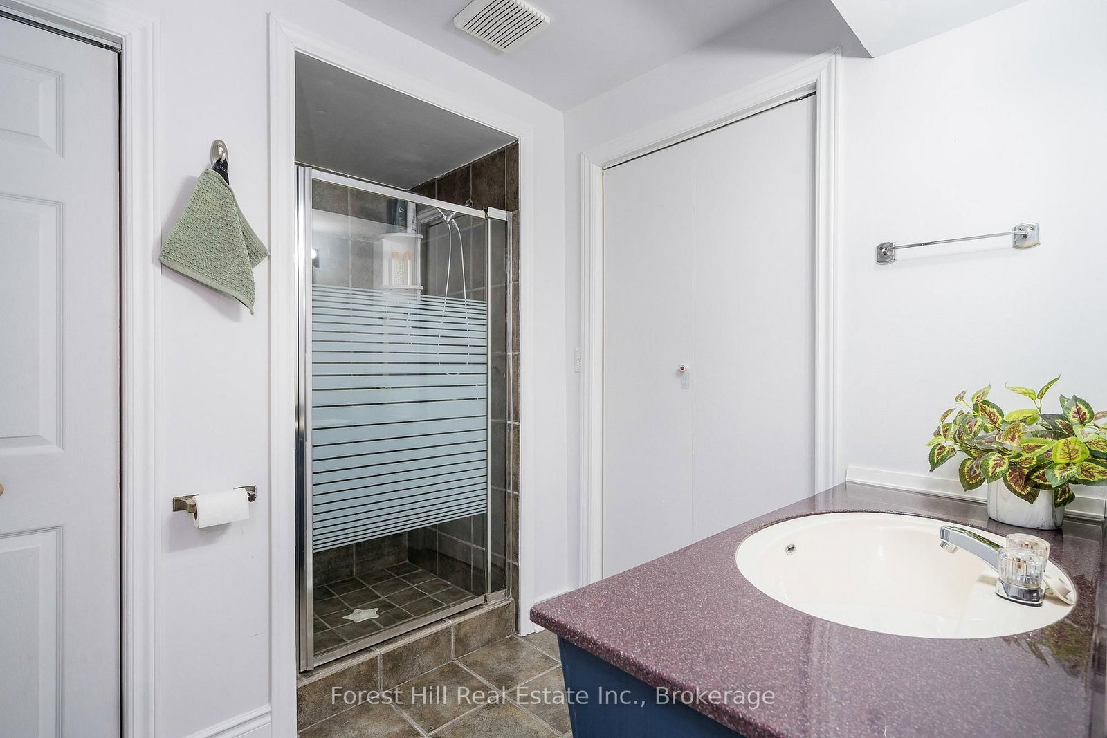 29 Dillon Drive • Collingwood, ON photo 26